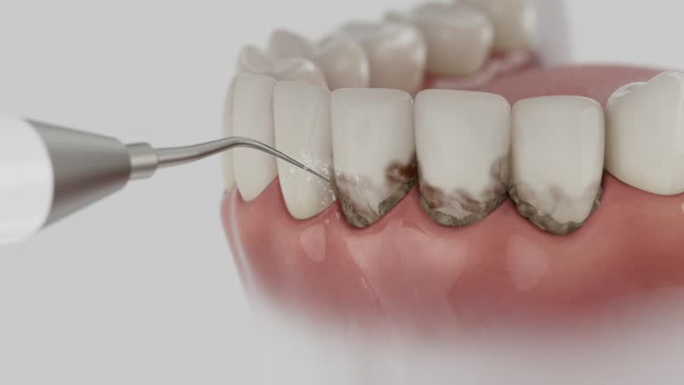 Reliable Dental contractor in Bay City, MI by Dentist Open Now
